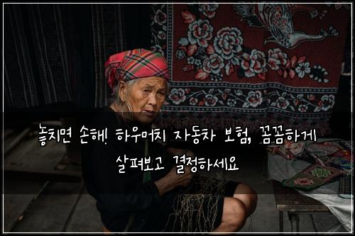  놓치면 손해! 하우머치 자동차 보험, 꼼꼼하게 살펴보고 결정하세요