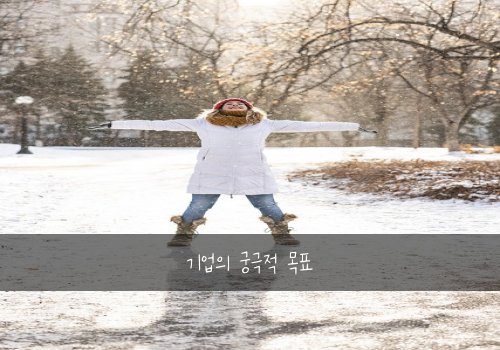 기업의 궁극적 목표