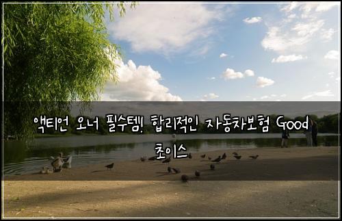 액티언 오너 필수템! 합리적인 자동차보험 Good 초이스