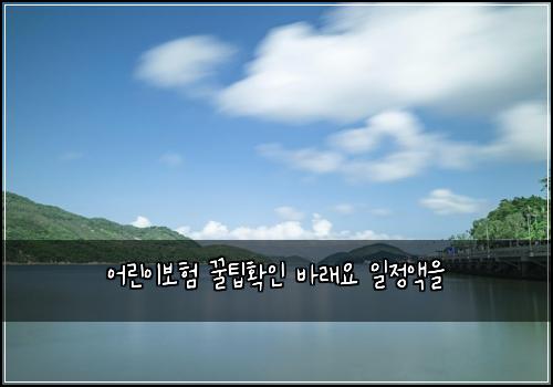 어린이보험 꿀팁확인  바래요 일정액을