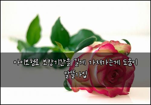 아이보험료 보장기간을 길게 가져가는게 도움이 알뜰가입