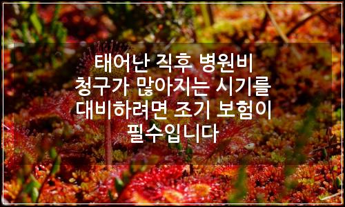 오늘의 이미지