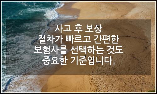 오늘의 이미지