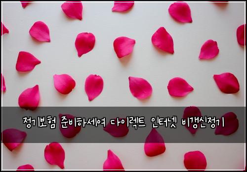 ์ ๊ธฐ๋ณดํ ์ค๋นํ์ธ์ฌ ๋ค์ด๋ ํธ ์ธํฐ๋ท ๋น๊ฐฑ์ ์ ๊ธฐ