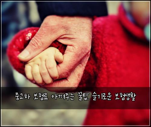 중고차 보험료 아껴주는 꿀팁: 슬기로운 보험생활