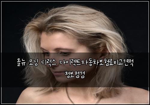 올뉴 모닝 디럭스 다이렉트자동차보험료비교견적 정보점검