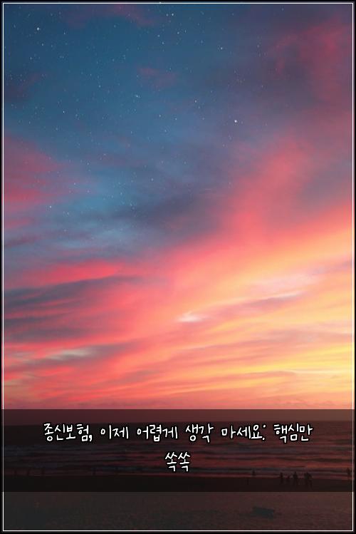  종신보험, 이제 어렵게 생각 마세요: 핵심만 쏙쏙