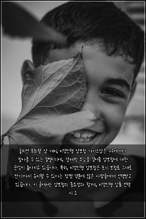  놓치면 후회할 암 대비, 비갱신형 암보험 가이드

암은 누구에게나 찾아올 수 있는 질병이기에, 경제적 부담을 덜어줄 암보험에 대한 관심이 높아지고 있습니다. 특히, 비갱신형 암보험은 초기 보험료 그대로 만기까지 유지할 수 있다는 장점 덕분에 많은 사람들에게 선택받고 있습니다. 이 글에서는 암보험의 중요성과 함께, 비갱신형 상품 선택 시 고