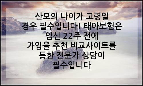 오늘의 이미지