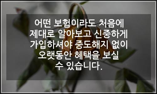 오늘의 이미지