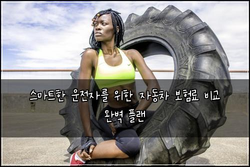  스마트한 운전자를 위한 자동차 보험료 비교 완벽 플랜