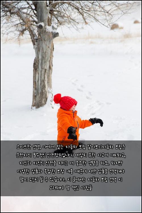  스마트한 선택, 나에게 맞는 자동차 보험 알아보기

자동차 보험은 운전자의 필수적인 안전장치입니다. 예상치 못한 사고에 대비하고, 자신과 타인의 안전을 지키는 데 중요한 역할을 하죠. 하지만 다양한 상품과 복잡한 보장 내용 때문에 어떤 상품을 선택해야 할지 고민이 될 수 있습니다. 이 글에서는 자동차 보험 선택 시 고려해야 할 핵심 사항들