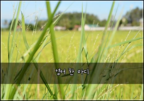 ์์ด ํ ๋ง๋