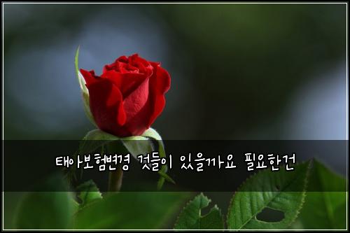 νμ보νλ³κ²½ κ²λ€μ΄ μμκΉμ νμν건