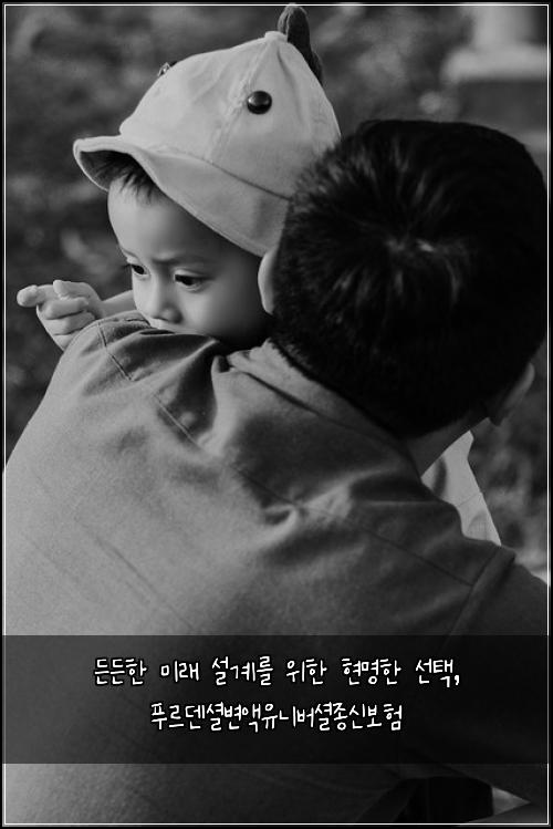  든든한 미래 설계를 위한 현명한 선택, 푸르덴셜변액유니버셜종신보험