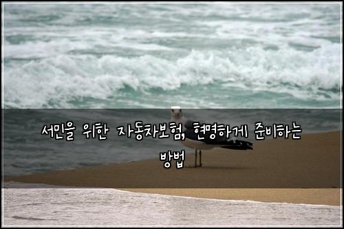 서민을 위한 자동차보험, 현명하게 준비하는 방법