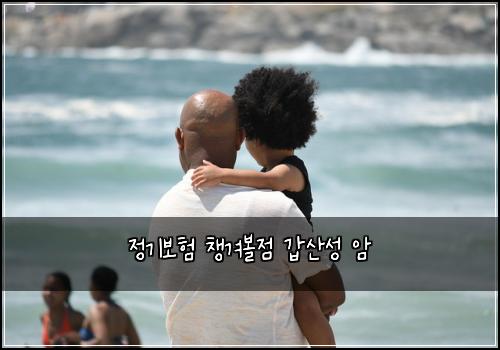 정기보험 챙겨볼점  갑산성 암 