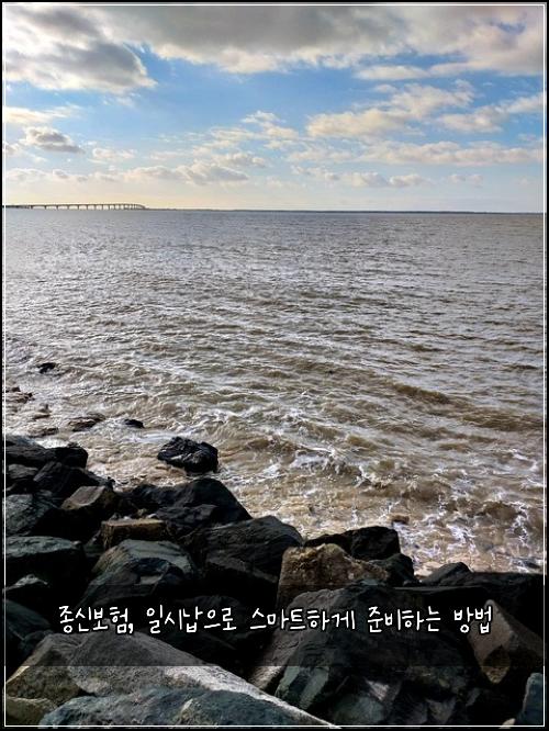종신보험, 일시납으로 스마트하게 준비하는 방법
