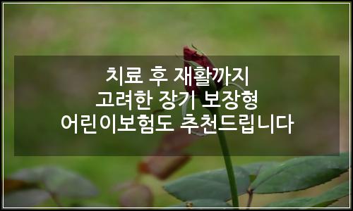 오늘의 이미지
