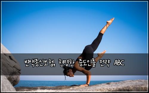  변액종신보험, 현명한 중도인출 전략 ABC