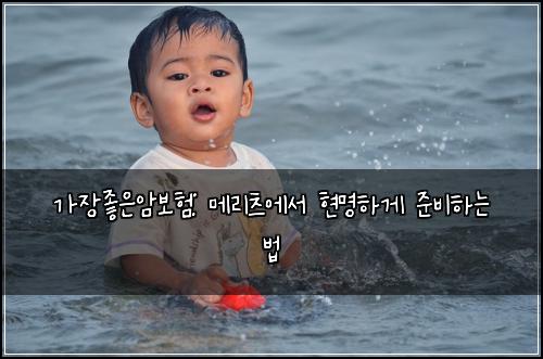 가장좋은암보험: 메리츠에서 현명하게 준비하는 법