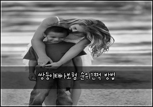쌍둥이태아보험 순위견적  방법