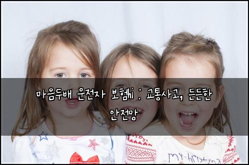 마음두배 운전자 보험hi : 교통사고, 든든한 안전망