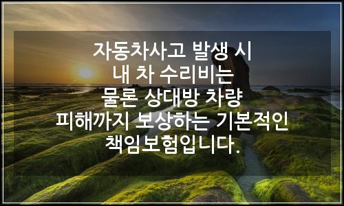 오늘의 이미지