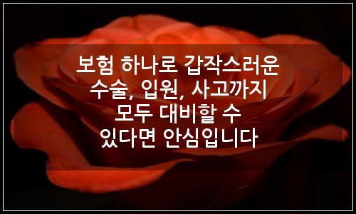 오늘의 이미지