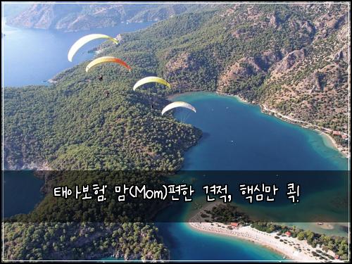태아보험: 맘(Mom)편한 견적, 핵심만 콕!