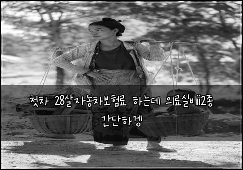 첫차 28살자동차보험료 하는데 의료실비ii2종 간단하겡