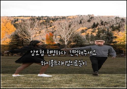 암보험 현명하다  견적해주세요 하이콜프리미엄의료실비