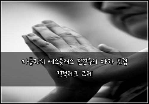 자동차의 에스클래스 전면유리 자차 보험 견적체크  교체