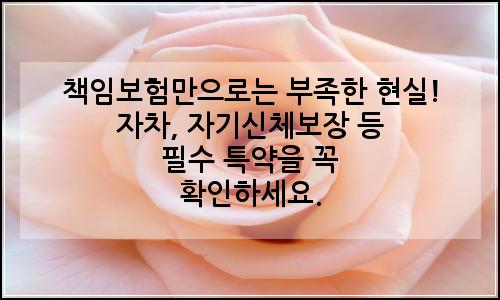 오늘의 이미지