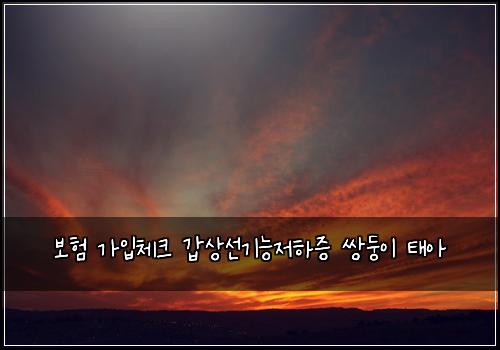 보험 가입체크  갑상선기능저하증 쌍둥이 태아