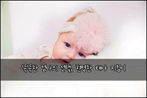  똑똑한 엄마의 선택, 현명한 태아 지킴이