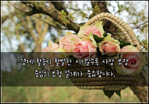 경제 활동이 활발한 시기일수록 사망 보장 중심의 보험 설계가 중요합니다.