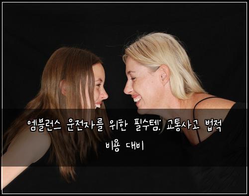  엠블런스 운전자를 위한 필수템: 교통사고 법적 비용 대비