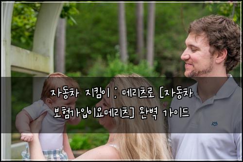 자동차 지킴이 : 메리츠로 [자동차 보험가입이요메리츠] 완벽 가이드