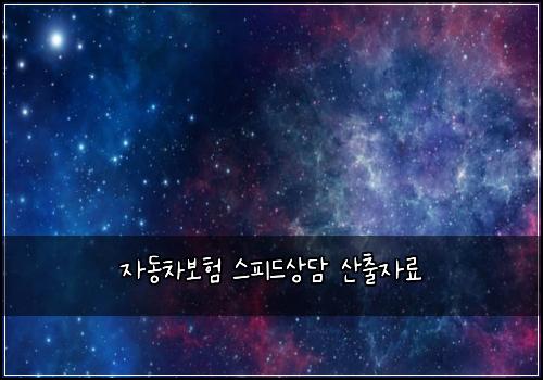 ์๋์ฐจ๋ณดํ ์คํผ๋์๋ด ์ฐ์ถ์๋ฃ