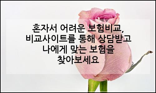 오늘의 이미지