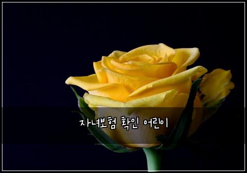 ์๋
๋ณดํ ํ์ธ ์ด๋ฆฐ์ด