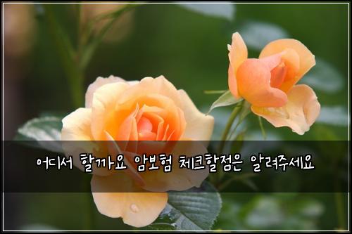 ์ด๋์ ํ ๊น์ ์๋ณดํ ์ฒดํฌํ ์ ์ ์๋ ค์ฃผ์ธ์