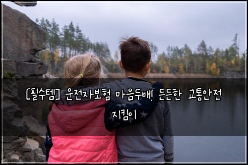  [필수템] 운전자보험 마음두배! 든든한 교통안전 지킴이
