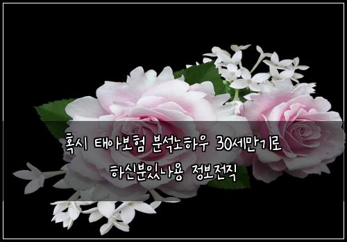 혹시 태아보험 분석노하우  30세만기로 하신분있나용 정보전직
