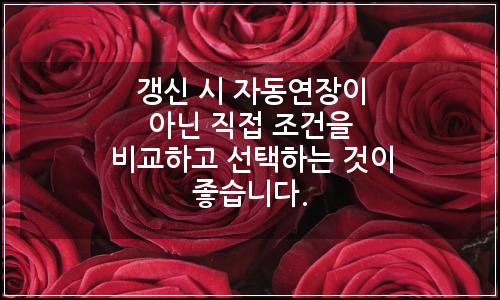 오늘의 이미지