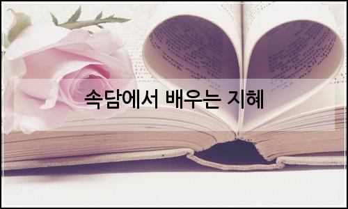 오늘의 이미지