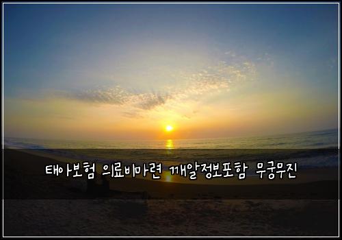 태아보험 의료비마련  깨알정보포함 무궁무진