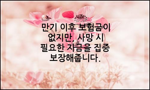 오늘의 이미지