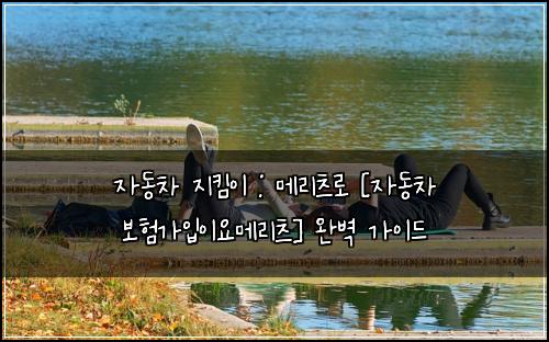 자동차 지킴이 : 메리츠로 [자동차 보험가입이요메리츠] 완벽 가이드